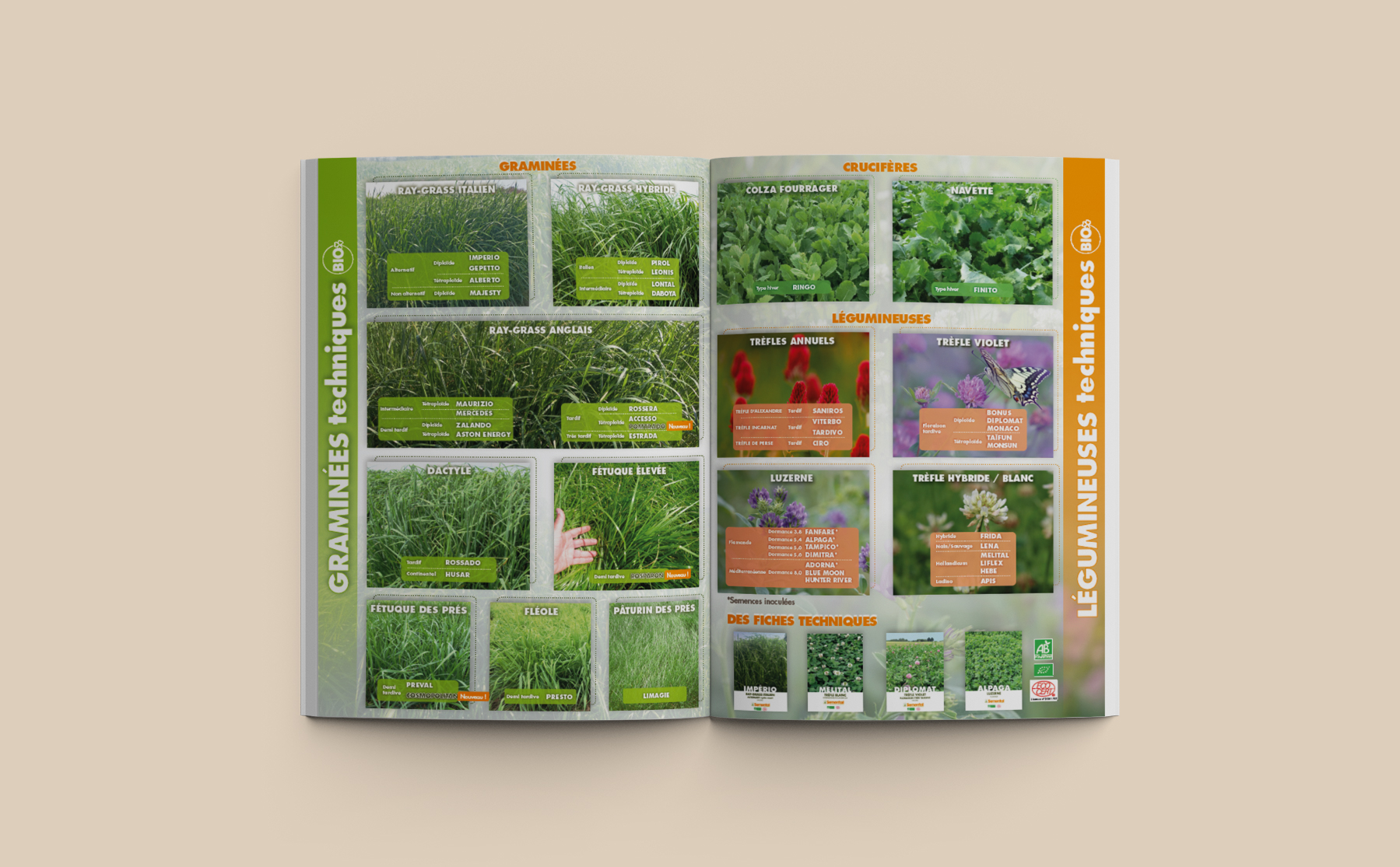 plaquette 8 pages photo 2