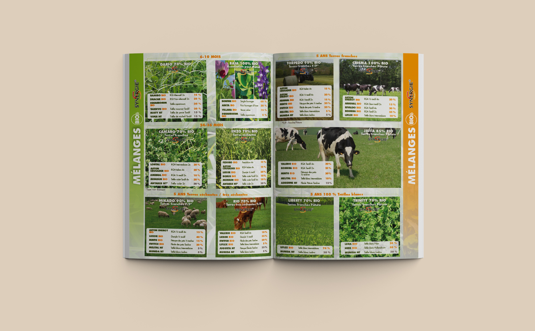 plaquette 8 pages photo 3